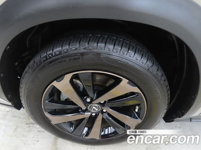 Lexus NX300h 2018 — ფოტო 19/20