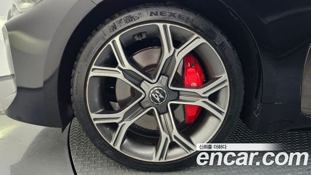 Kia Stinger 2019 — ფოტო 5/20