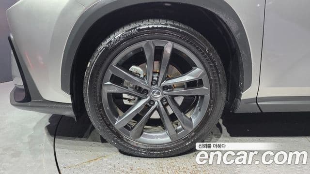 Lexus NX350h 2025 — Şəkil 5/20