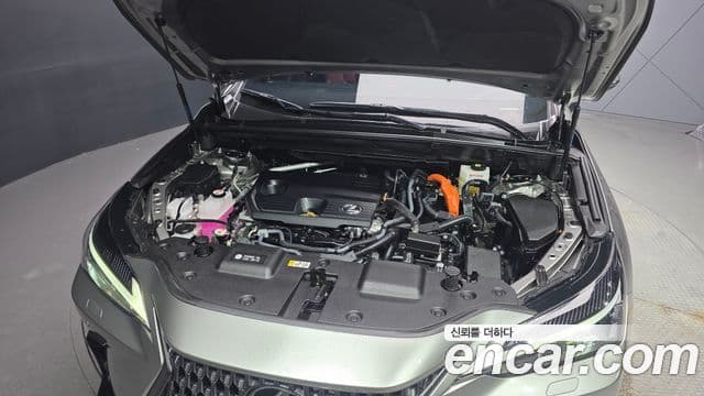 Lexus NX350h 2025 — Şəkil 6/20