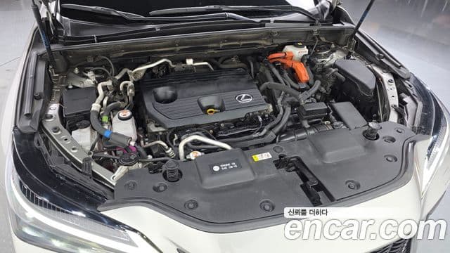 Lexus NX450h+ 2024 — ფოტო 5/20