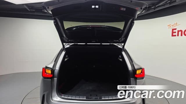 Lexus NX450h+ 2024 — ფოტო 19/20