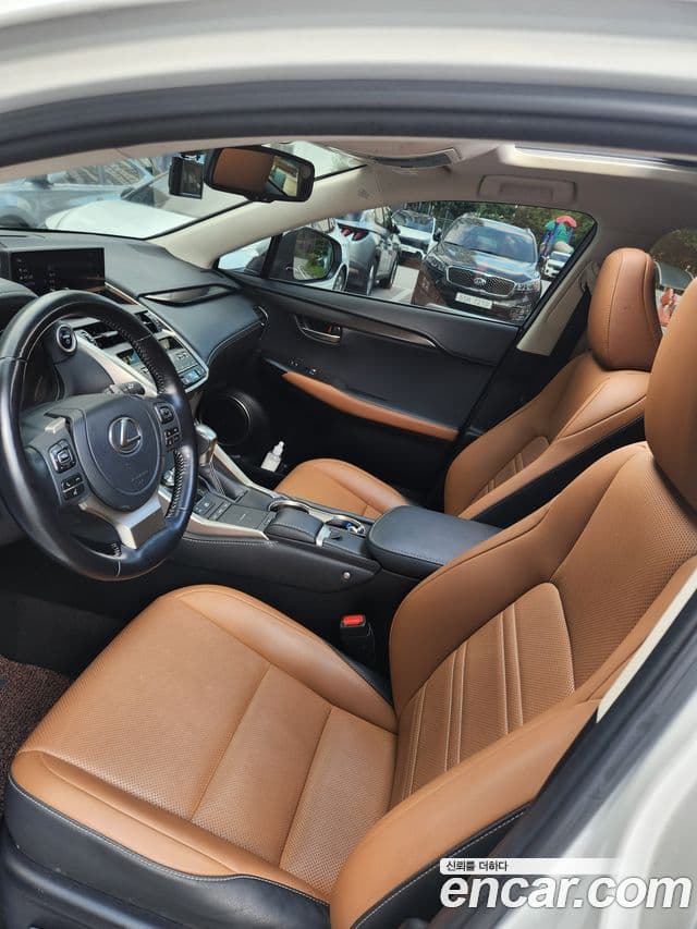 Lexus NX300h 2021 — Şəkil 5/19