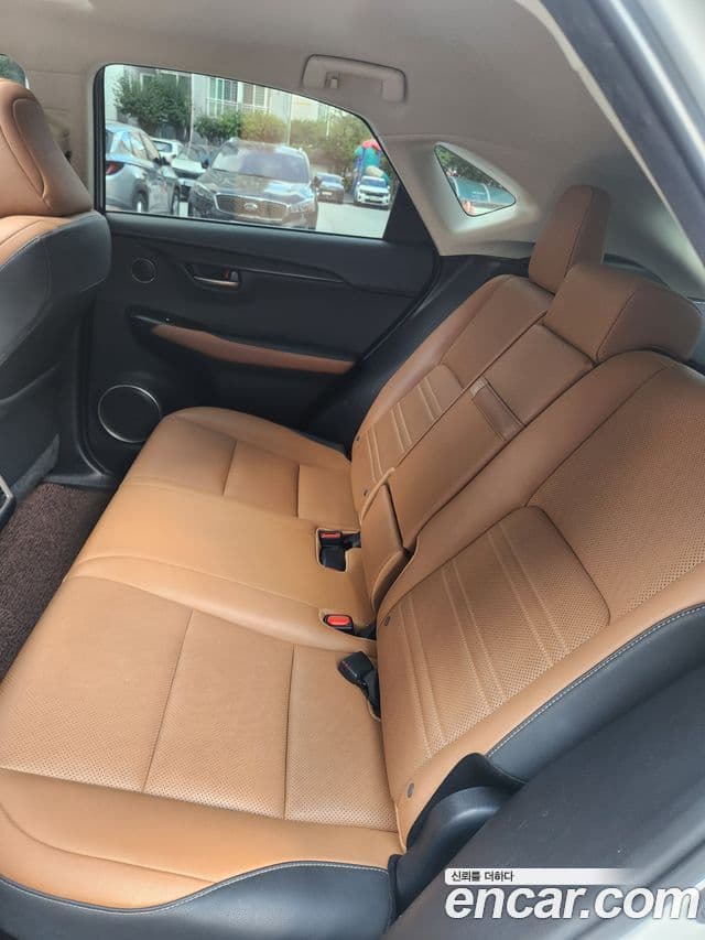 Lexus NX300h 2021 — Şəkil 9/19