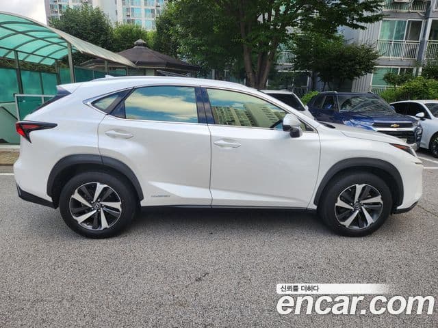 Lexus NX300h 2021 — Şəkil 17/19