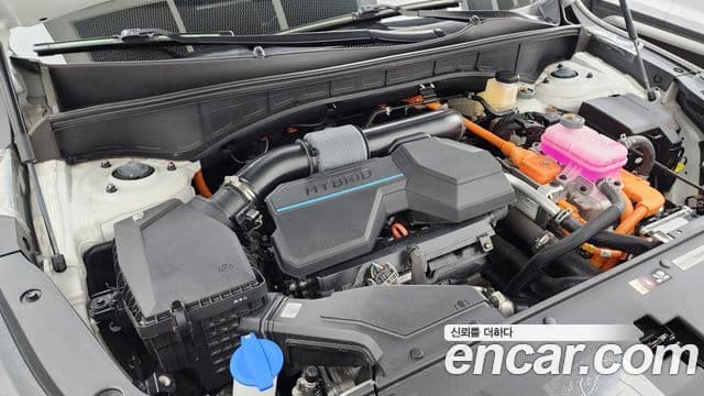 Kia Sorento 2025 — Şəkil 6/20