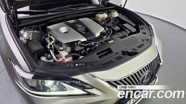 Lexus ES300h 2018 — Şəkil 6/20