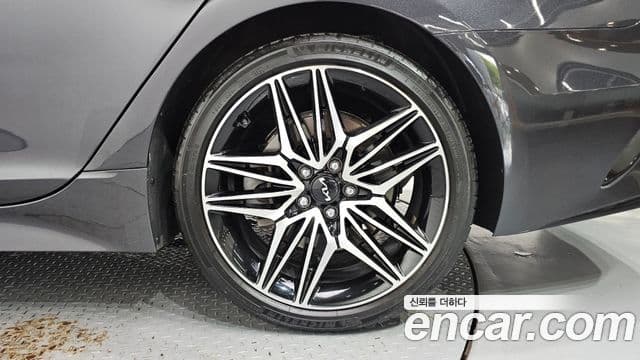 Kia Stinger Meister 2021 — ფოტო 7/33