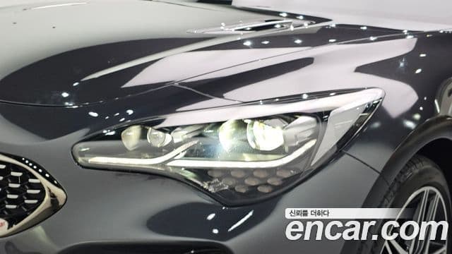 Kia Stinger Meister 2021 — ფოტო 22/33