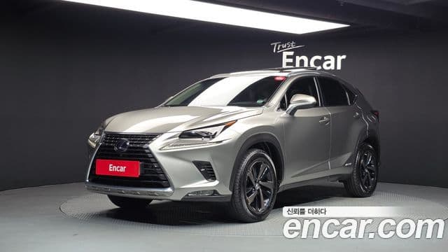 Lexus NX300h 2019 — Şəkil 3/20