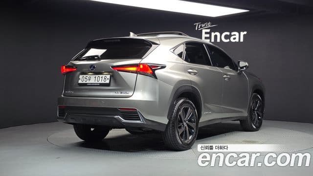 Lexus NX300h 2019 — Şəkil 9/20