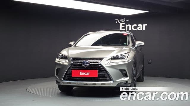 Lexus NX300h 2019 — Şəkil 18/20