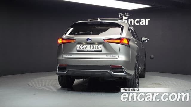 Lexus NX300h 2019 — Şəkil 17/20