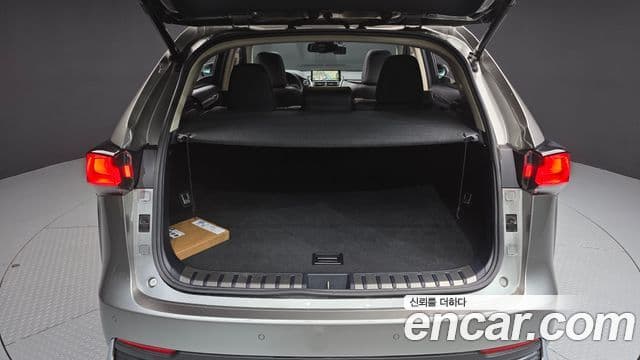 Lexus NX300h 2019 — Şəkil 8/20