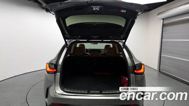 Lexus NX350h 2024 — Şəkil 20/20
