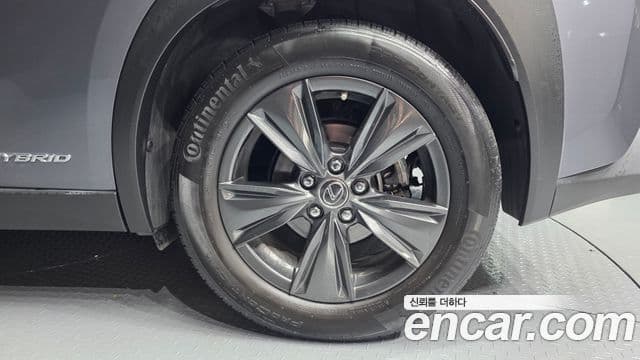 Lexus UX250h 2019 — Şəkil 4/20