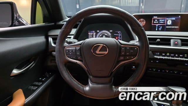 Lexus UX250h 2019 — Şəkil 13/20