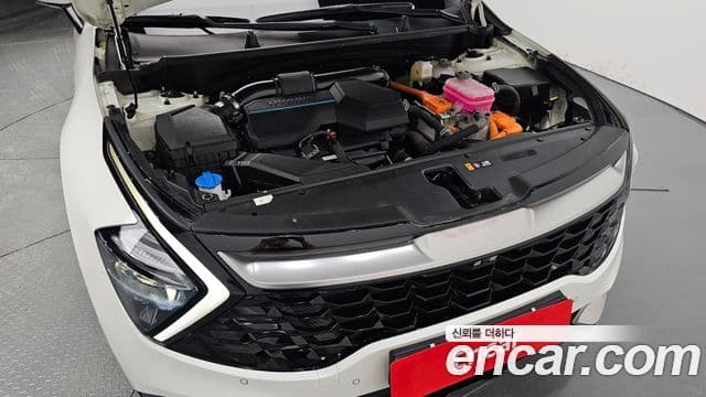 Kia Sportage 2022 — фото 6 из 20