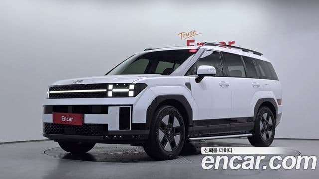 Hyundai Santa Fe 2024 — ფოტო 1/20