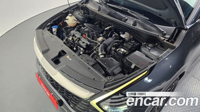 Kia Sportage 2024 — фото 6 из 20