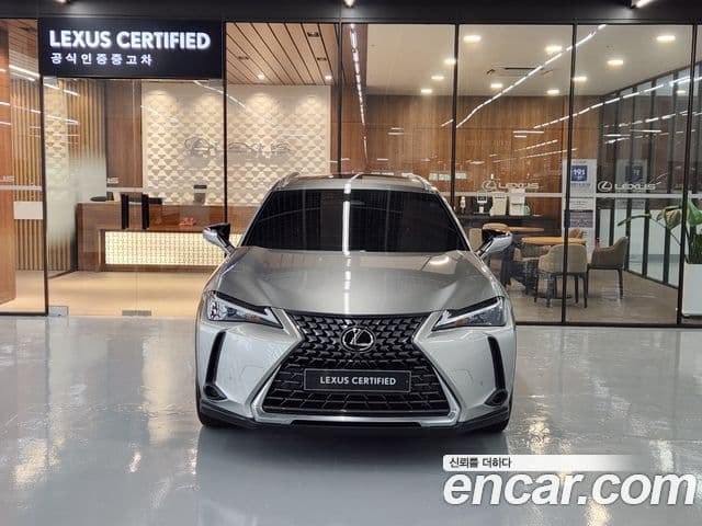 Lexus UX300h 2024 — ფოტო 3/20