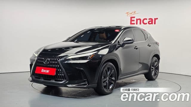 Lexus NX350h 2023 — Фото 1/20