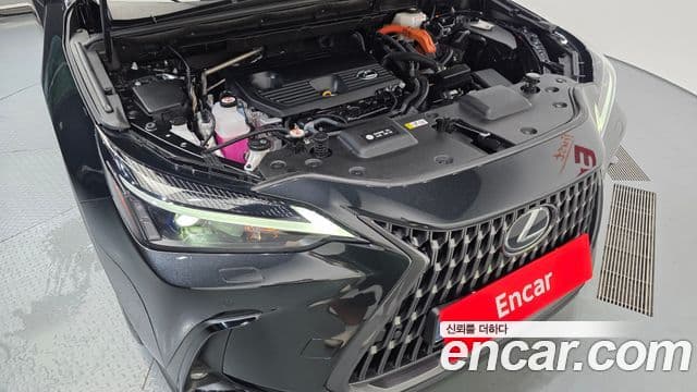 Lexus NX350h 2023 — Фото 6/20