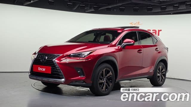 Lexus NX300h 2018 — ფოტო 1/20