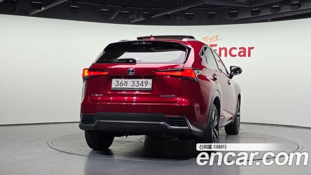 Lexus NX300h 2018 — ფოტო 4/20