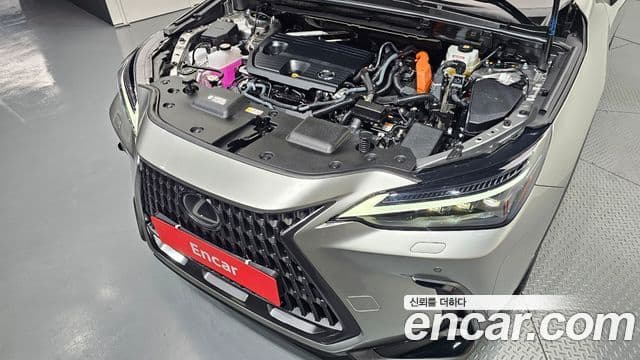 Lexus NX350h 2025 — Photo 34/34