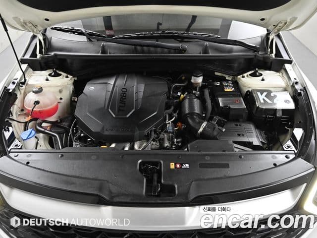 Kia Sportage 2021 — Фото 6/20