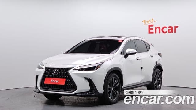 Lexus NX350h 2024 — фото 1 из 20
