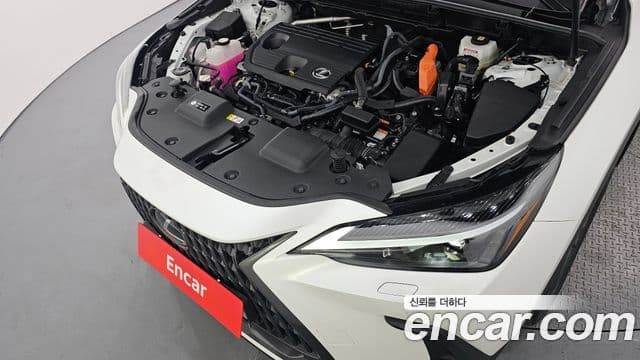 Lexus NX350h 2024 — ფოტო 6/20