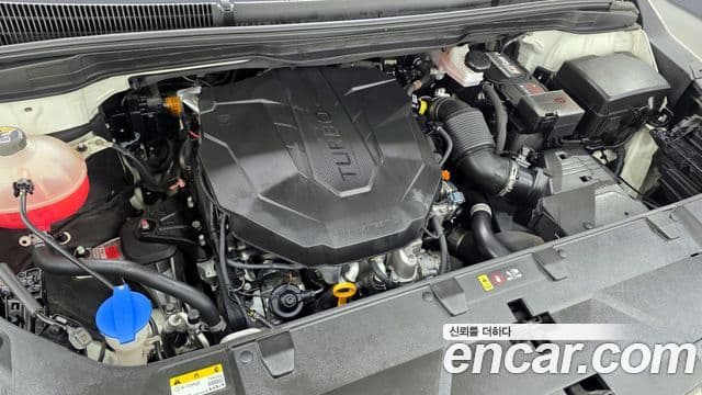 Kia Carnival 2023 — Фото 6/20