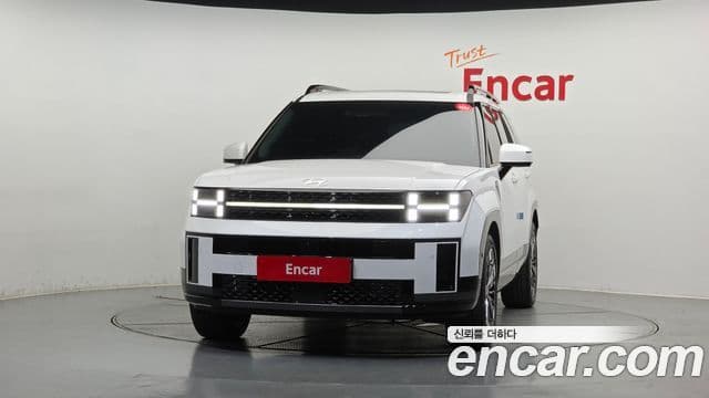 Hyundai Santa Fe 2025 — ფოტო 3/20