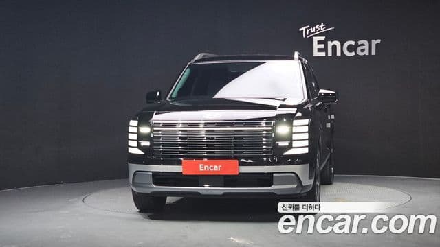 Hyundai Palisade 2025 — ფოტო 3/20