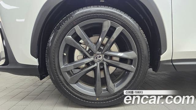 Lexus NX350h 2022 — фото 5 из 20