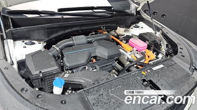 Kia Sorento 2024 — фото 6 из 20
