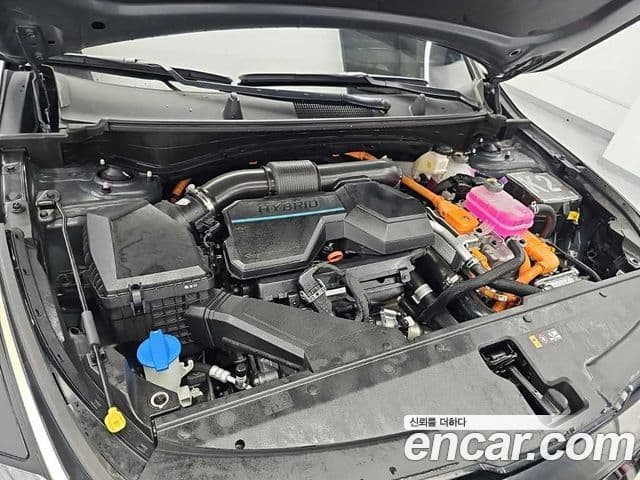 Kia Sportage 2024 — ფოტო 3/17