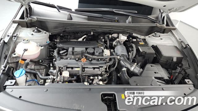 Kia Sportage 2024 — фото 5 из 20