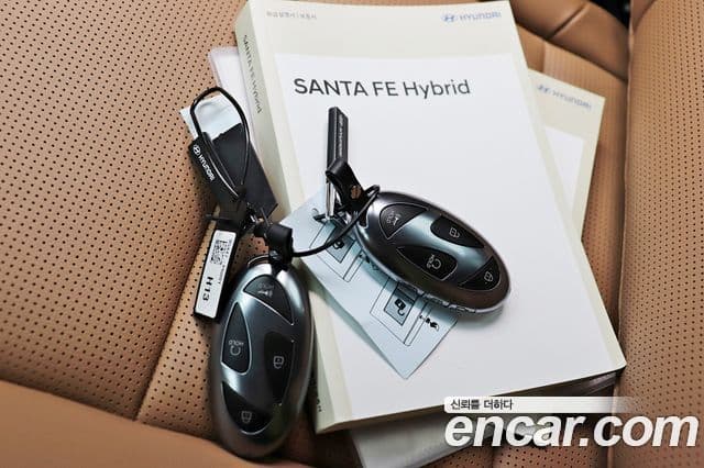 Hyundai Santa Fe 2025 — ფოტო 20/20