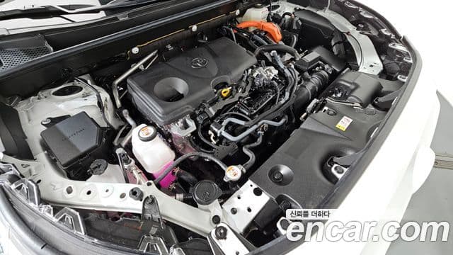 Toyota RAV4 2025 — фото 5 из 20