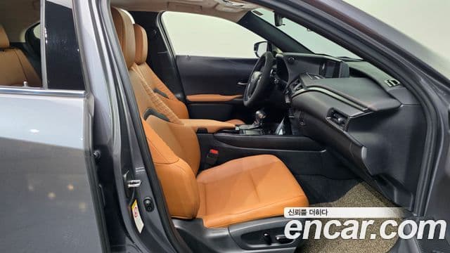 Lexus UX250h 2019 — ფოტო 11/20