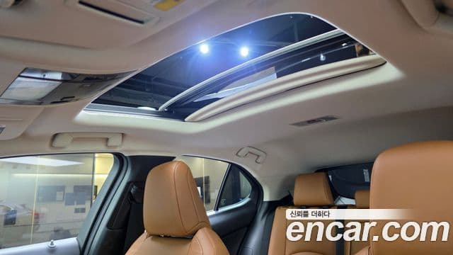Lexus UX250h 2019 — ფოტო 18/20