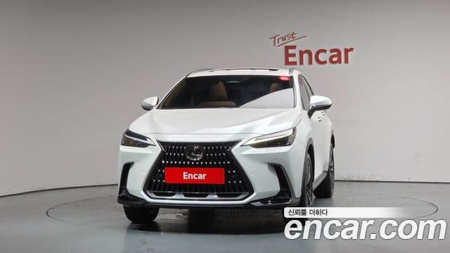 Lexus NX350h 2025 — Фото 3/20