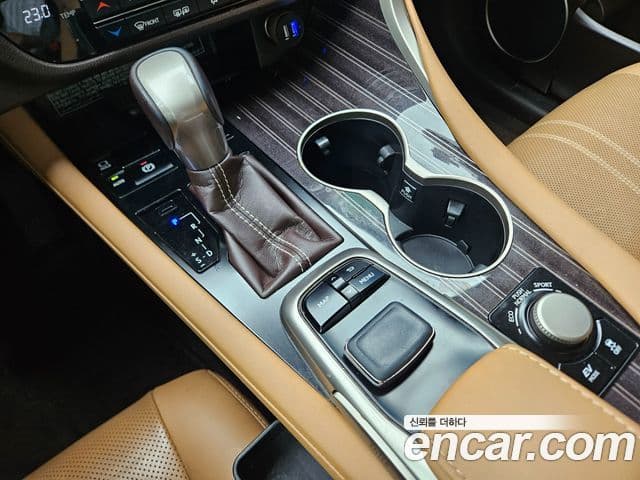 Lexus RX450h 2019 — ფოტო 13/20