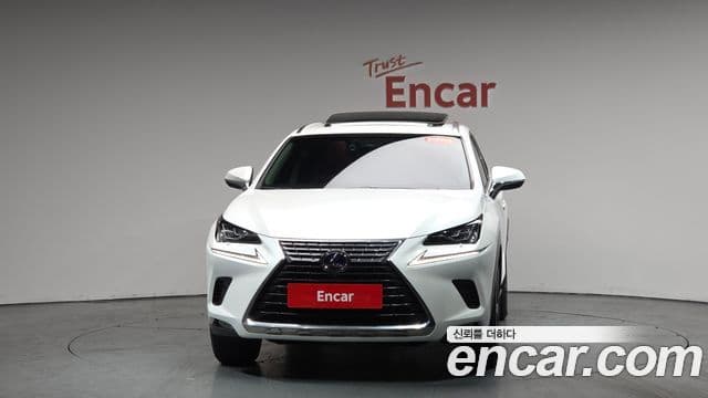 Lexus NX300h 2019 — Şəkil 3/20