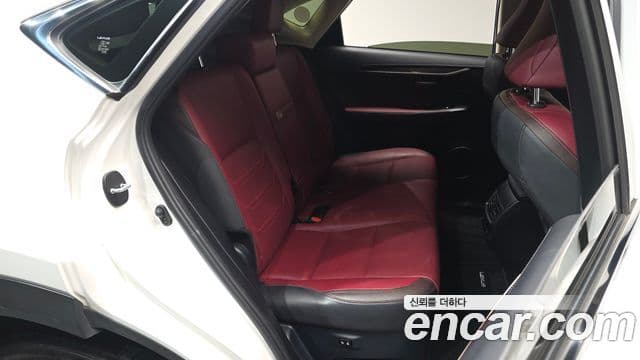 Lexus NX300h 2019 — Şəkil 12/20