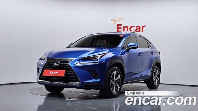 Lexus NX300h, 2019