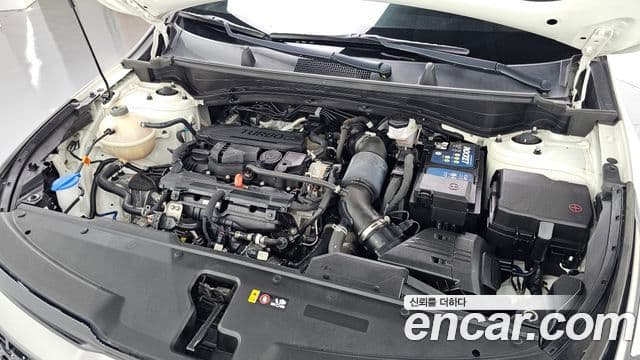 Kia Sportage 2022 — фото 6 из 20